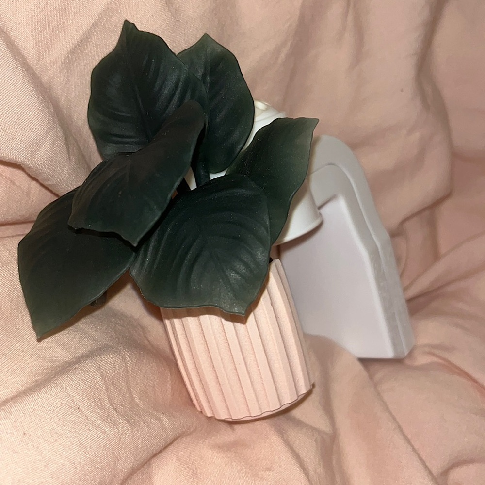 BABW wallflower